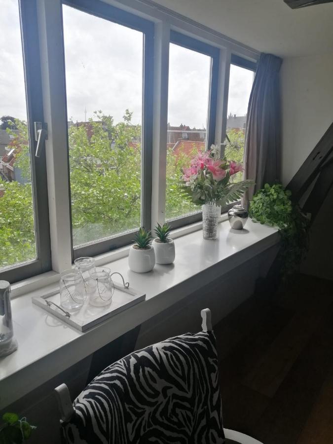 Wittezwaan Bed & Breakfast Harlingen Luaran gambar