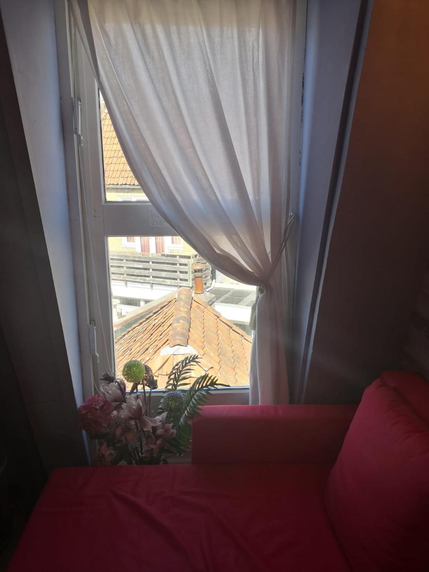 Wittezwaan Bed & Breakfast Harlingen Luaran gambar
